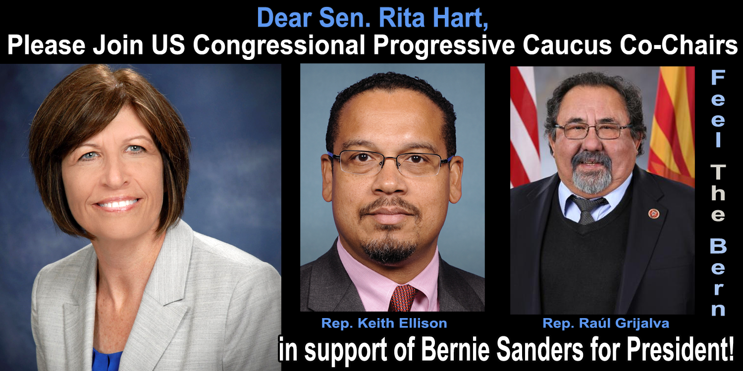 Iowa Senator Rita Hart for Bernie Sanders for President 2016
