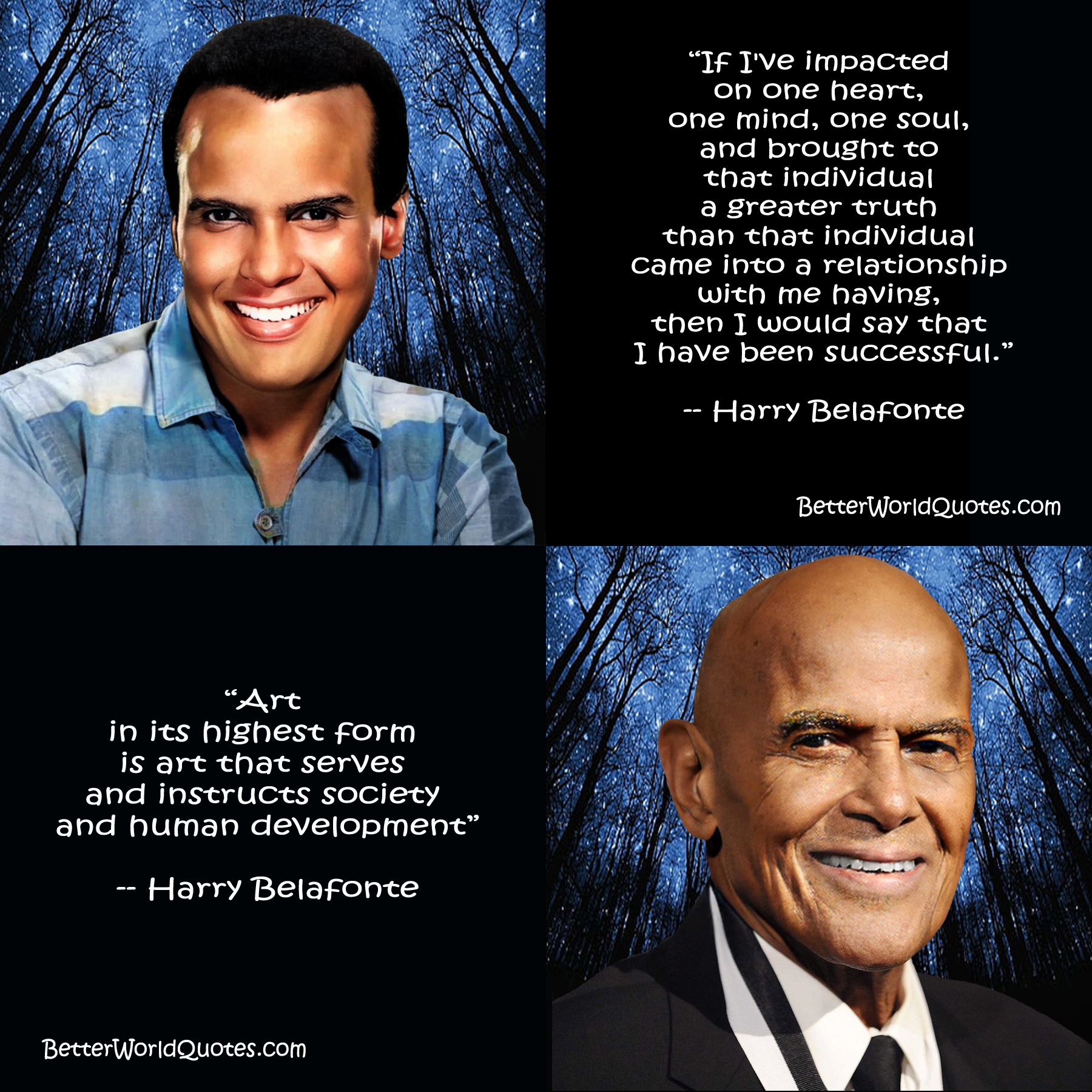 Harry Belafonte: If I've impacted on one heart, one mind, one soul, and brought to that individual a greater truth than that individual came into a relationship with me having, then I would say that I have been successful.